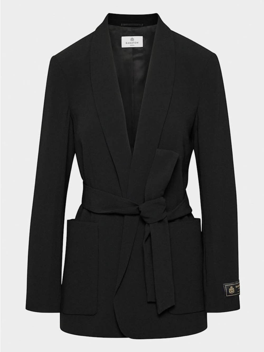 Aritzia Executive Blazer